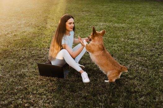 Teambuilding. Teamwork with Welsh Corgi Pembroke on the grass outside. Girl hand give five Corgi dog. Working on laptop outdoor. Communication with colleagues and family online