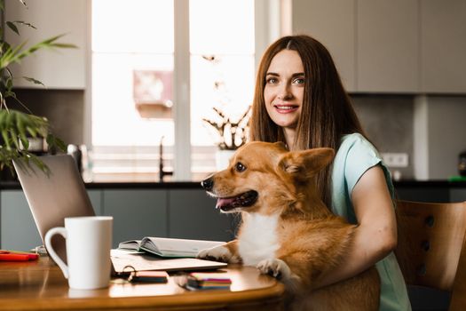 Girl working online on laptop with Corgi dog at home. Welsh Corgi Pembroke with his owner young woman. Lifestyle with domestic pet