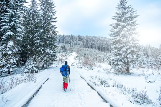 Lonely tourist start to ascend snowy mountain in winter, rear view