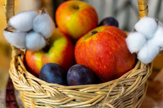 Ripe apples and plums in a vine basket close-up.