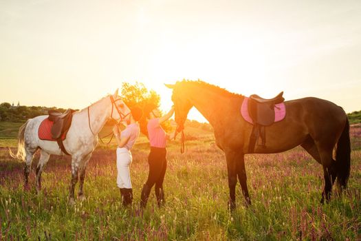 Two woman and two horses outdoor in summer happy sunset together nature. Taking care of animals, love and friendship concept.