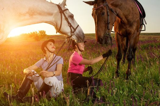 Two woman and two horses outdoor in summer happy sunset together nature. Taking care of animals, love and friendship concept.