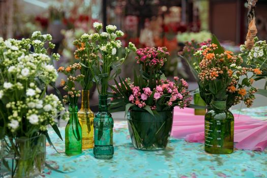 Different types of Kalanchoe in multi-colored glass bottles