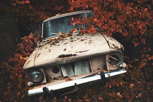 Destroyed car in an abandoned place. Lost place. An abandoned car decays with time. High quality photo. High quality photo