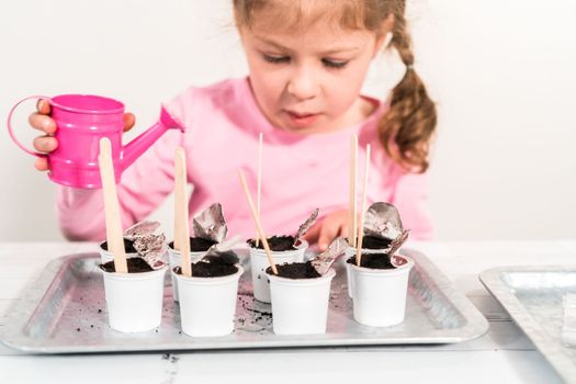 Little girl planting seeds into coffee pods to start an indoor vegetable garden.