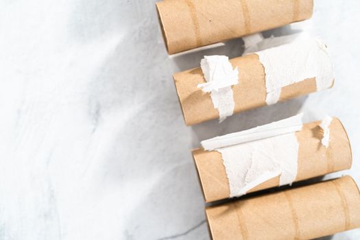 Used empty toilet paper rolls on a gray background.