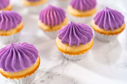 Piping ombre pink buttercream frosting on mini vanilla cupcakes.