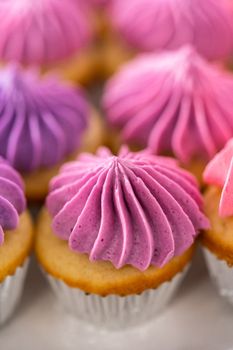 Freshly baked mini vanilla cupcakes with ombre pink buttercream frosting on a white cake stand.