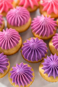 Freshly baked mini vanilla cupcakes with ombre pink buttercream frosting on a white cake stand.