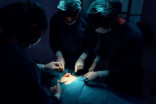 Surgical team performing surgery to patient in sterile operating room. In a surgery room lit by a lamp, a professional and confident surgical team provides medical care to an unconscious patient.