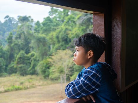 boy looking out window looking at the green forest