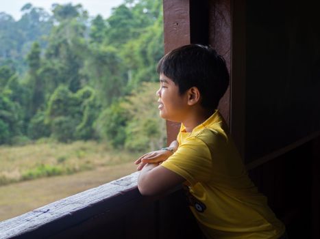 boy looking out window looking at the green forest