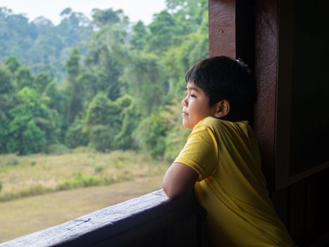 boy looking out window looking at the green forest