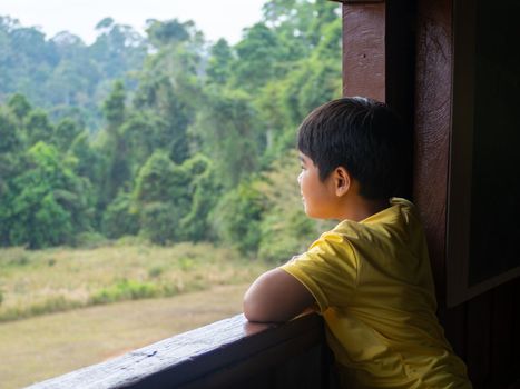 boy looking out window looking at the green forest