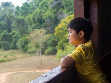 boy looking out window looking at the green forest