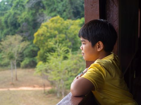 boy looking out window looking at the green forest