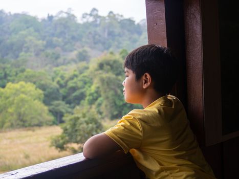 boy looking out window looking at the green forest