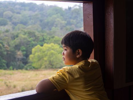 boy looking out window looking at the green forest