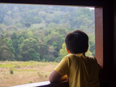 boy looking out window looking at the green forest