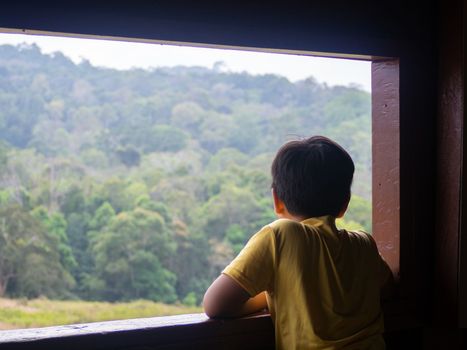 boy looking out window looking at the green forest