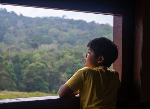 boy looking out window looking at the green forest