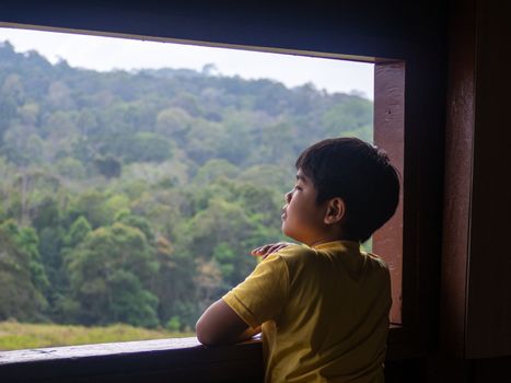 boy looking out window looking at the green forest