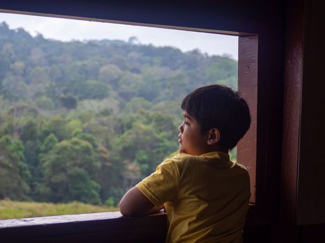 boy looking out window looking at the green forest