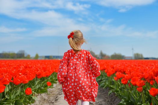 Happy girl running in a red tulip field