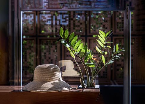 Summer hat near Zanzibar gem tree on a wooden relaxing chair for holiday background. Selective focus.