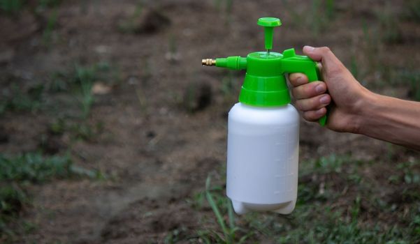 farmer sprays weeds in the garden. Selective focus. nature