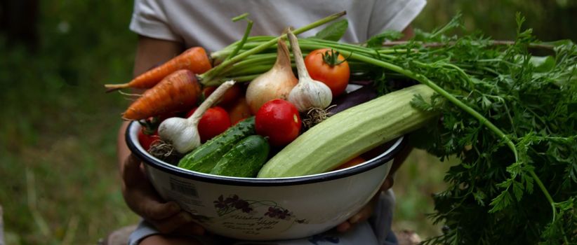 a child holding a bowl of freshly picked vegetables on a farm. Selective focus