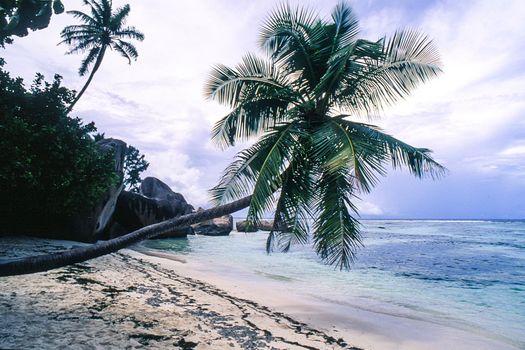 tropical beach with palm trees in Anse Source D'Argent, La Digue island, Seichelles
