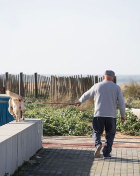 Senior man walking with his dog with beach coast in the background.