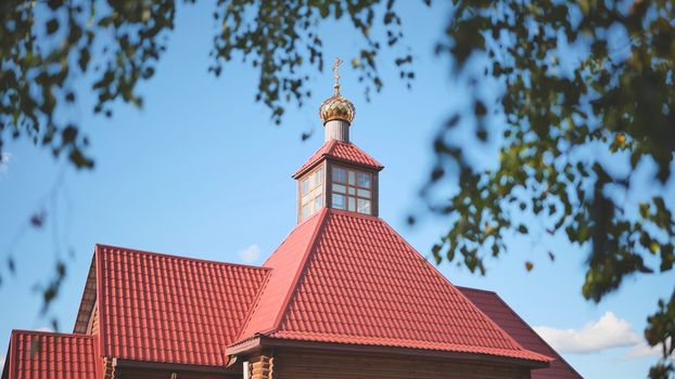 The domes of the Orthodox Church on the background of birch branches