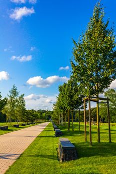 Natural beautiful panorama view with lake river walking pathway and green plants trees in the forest of Speckenbütteler Park in Lehe Bremerhaven Germany.