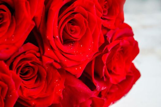 red rose on a wooden background. Valentine's Day gift.selective focus.holiday