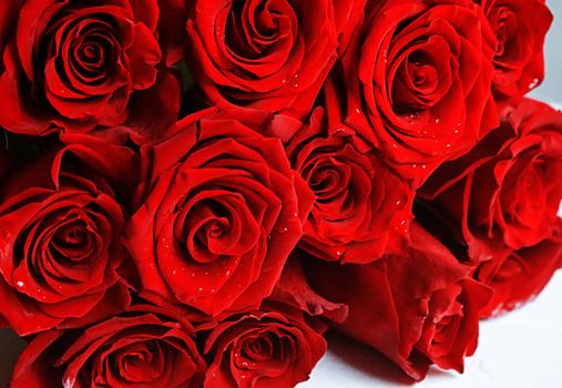 red rose on a wooden background. Valentine's Day gift.selective focus.holiday