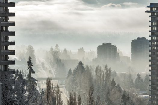 Cityscape in winter season. City on foggy winter morning in Canada