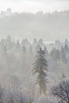 Winter time landscape. View on Fraser river in Burnaby, British Columbia, Canada.