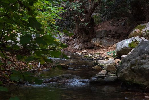 View of Kziv Stream at the end of the Black marked trail, Montfort Nahal Kziv National park, Western Galilee, Northern District of Israel, Israel. High quality photo