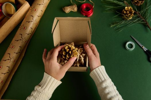 Top view: Hands of a woman in beige sweater, packing a golden pine cone in a craft gift box over green surface with decorative wrapping materials and ornaments. Christmas and New Year preparations