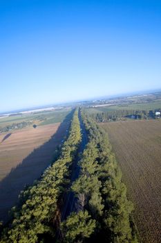 View from balloon at road - summer sunrise