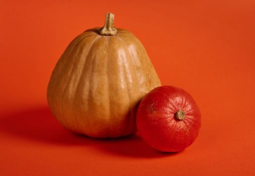 Assortment of various size pumpkins, small and big, isolated over bright orange colored background. Copy ad space for text. Halloween. Thanksgiving. Healthy eating. Autumnal organic harvest. Farming