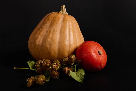 Still life. Horizontal studio shot: whole pumpkins of various sizes and hop cones - humulus lupulus, isolated on black background. Craft from vegetables - a witch on broomstick. Halloween Thanksgiving