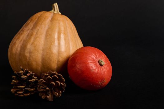 Still life with pumpkins of various sizes and pine cones, isolated over black background. Copy advertising space for text. Halloween. Thanksgiving. Healthy eating. Autumnal organic harvest. Farming