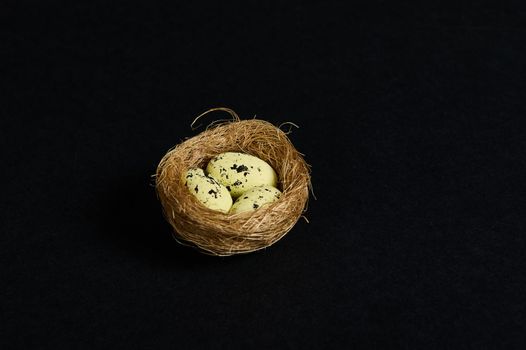 Still life. Quail eggs in nest of straw, isolated over black background. Copy advertising space for promotional text. Wild nature. Animals. Nature, countryside, birds, spring, new life concept