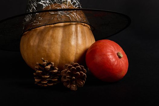 Still life. Pumpkins in wizard's hat and pine cones on black background with copy ad space. Halloween trick and treat. A whole organic pumpkin for making Jack-O-Lantern Autumn seasonal harvested crop