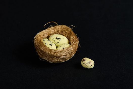 Still life. Studio shot. Close-up. Quail eggs in nest of straw, isolated over black background. Copy ad space. Wild nature. Animals. Nature, countryside, birds, spring, new life concept