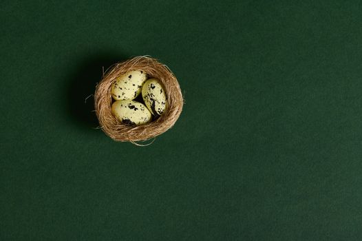 Still life. Quail eggs in nest of straw, isolated over green background. Copy advertising space for promotional text. Wild nature. Animals. Nature, countryside, birds, spring, new life concept