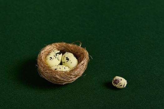 Still life. Studio shot. Close-up. Quail eggs in nest of straw, isolated over green background. Copy ad space. Wild nature. Animals. Nature, countryside, birds, spring, new life concept